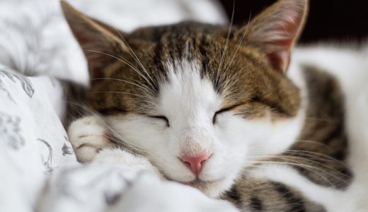 睡眠の質をより良くする３つの習慣